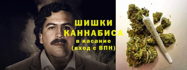 spice Беломорск