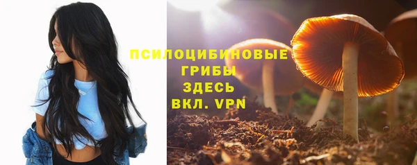 spice Беломорск