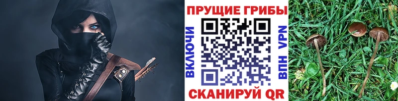 Галлюциногенные грибы MAGIC MUSHROOMS цены Краснокаменск