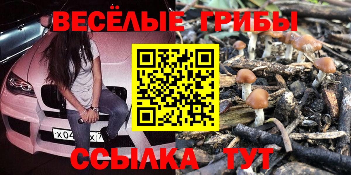 Краснокаменск  Галлюциногенные грибы MAGIC MUSHROOMS  Вход с VPN  Псилоцибиновые грибы мухоморы 