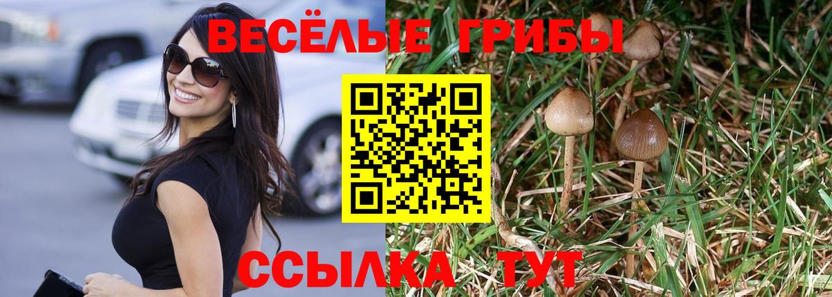Псилоцибиновые грибы мухоморы Краснокаменск